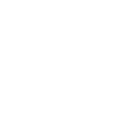 Airport