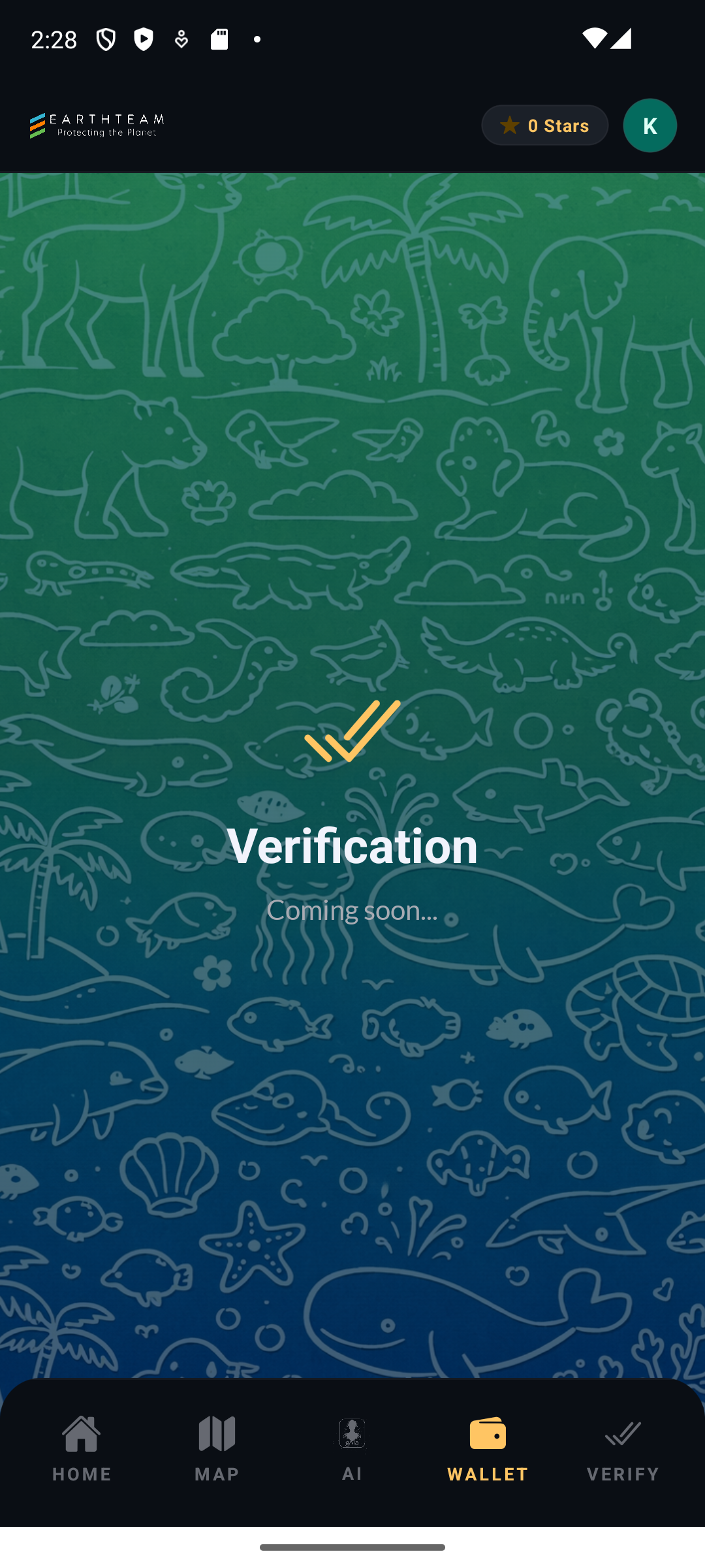 Wallet screen actual state